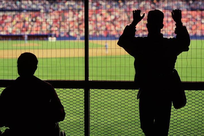 Baseball Yankee Stadium No 33