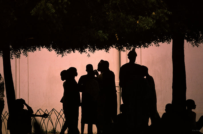 Silhouette People, Trees, Senegal