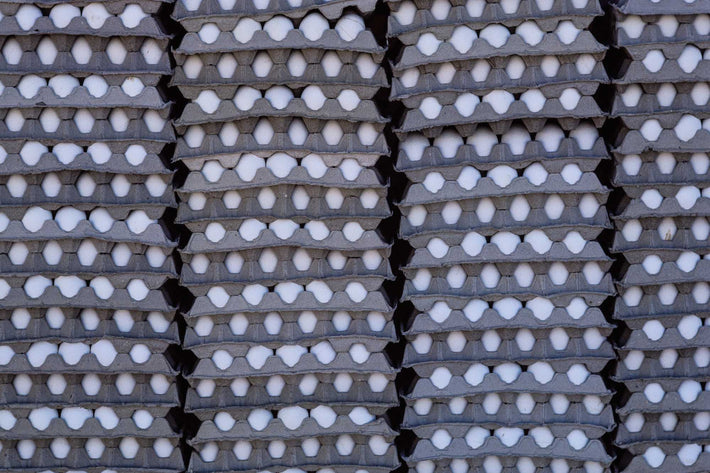 Eggs, Oaxaca