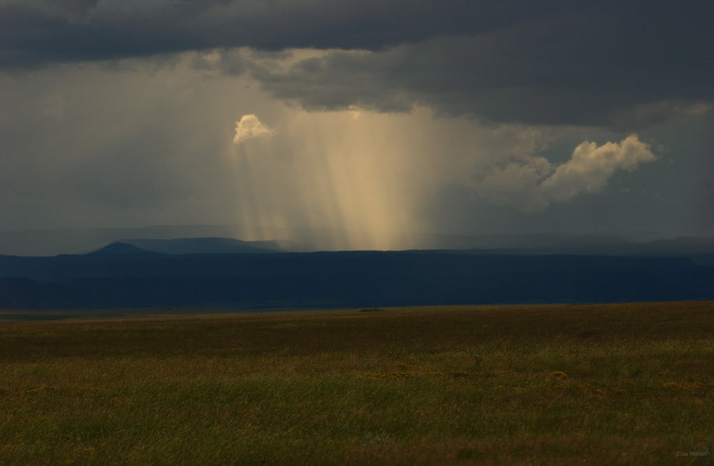 Santa Fe No 36 – Jay Maisel
