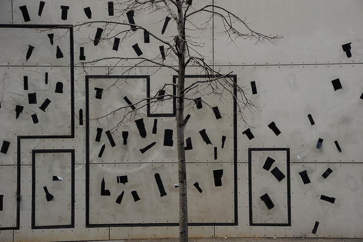 Building Shapes, Tree, NYC