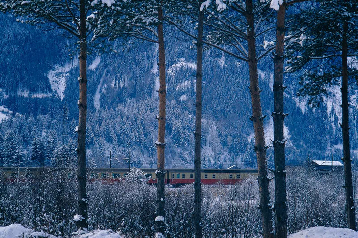 Trains, Trees, Snow, Northern Italy