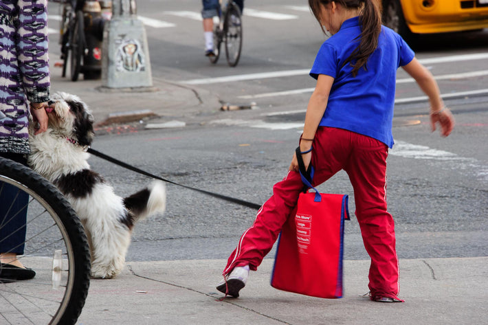 Girl Tangled with Dog, NYC