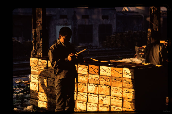 Fish Market, Man with Boxes, Tokyo