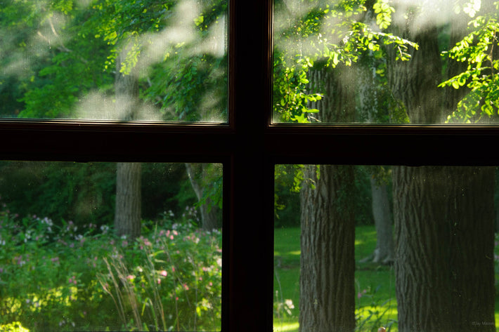 Window and Yard, Maine