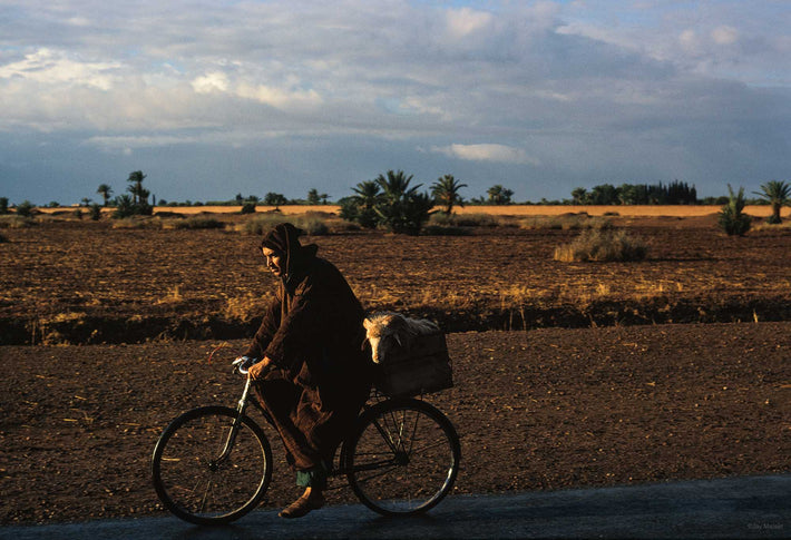 Man on Bike with Ram, Marrakech