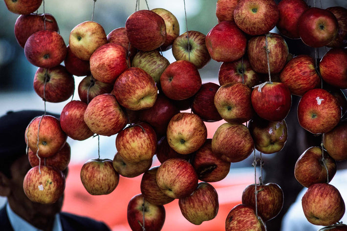 Apples Hanging, Bahia