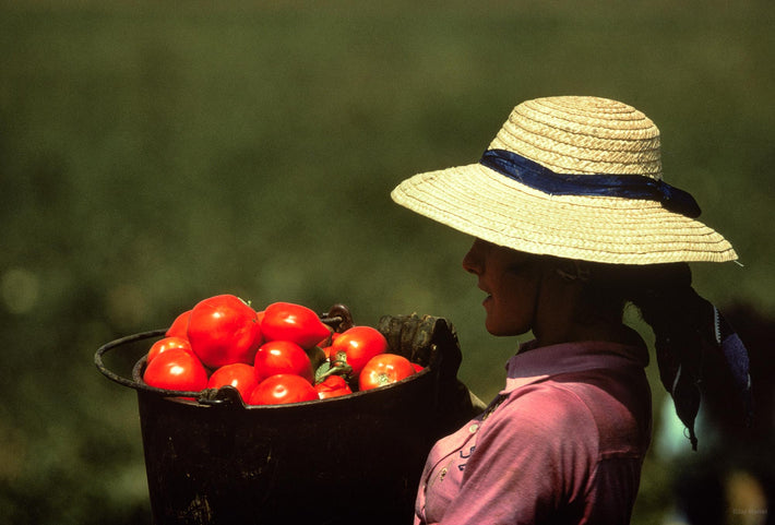 Woman with Tomatoes, Portugal