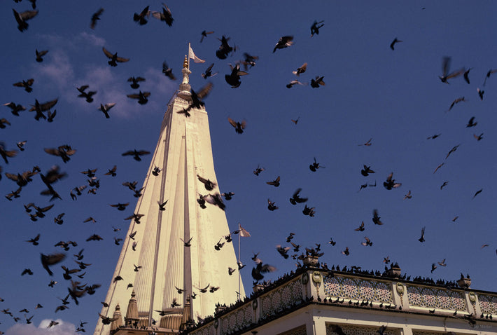 Temple and Birds, Mombasa, Kenya