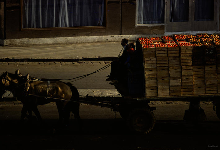 Horse and Wagon Full of Tomatoes, Marrakech