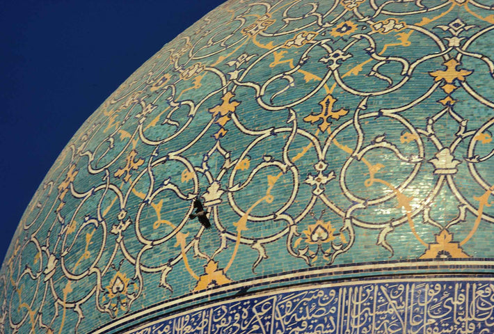 Close-up of Dome and Flying Bird, Iran