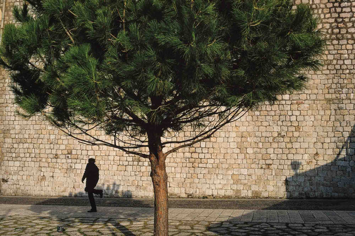 Tree, Man with Raised Leg, Dubrovnik