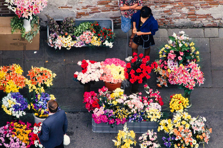 Overhead at Market, Flowers, Vicenza