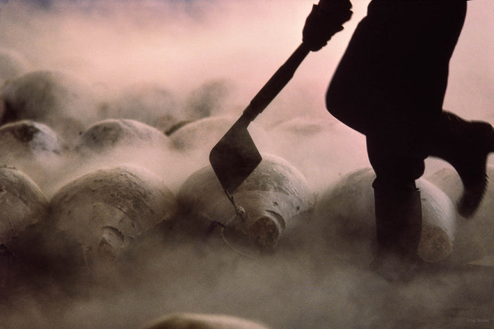 Tuna and Man with Cleaver, Tokyo