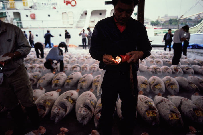 Tuna and Man with Flashlight, Tokyo