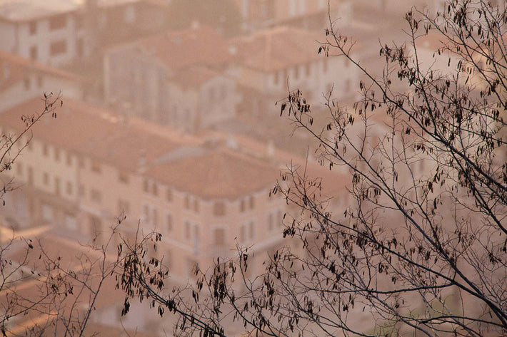 Branches and Soft Buildings, Vicenza