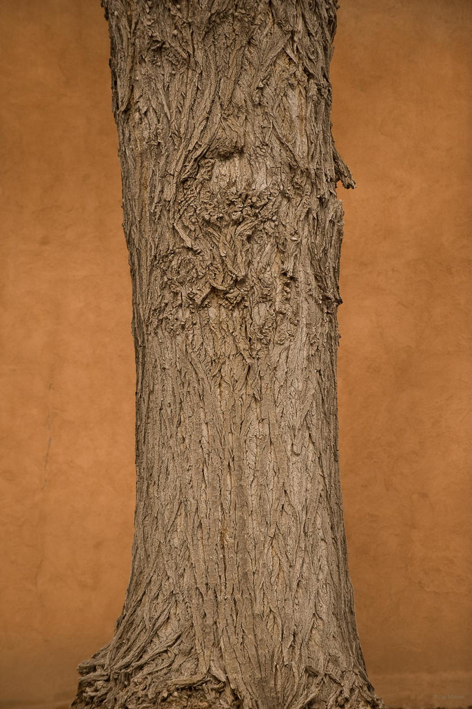 Santa Fe No 55 – Jay Maisel
