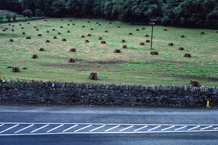 Road, Field of Hay, Ireland