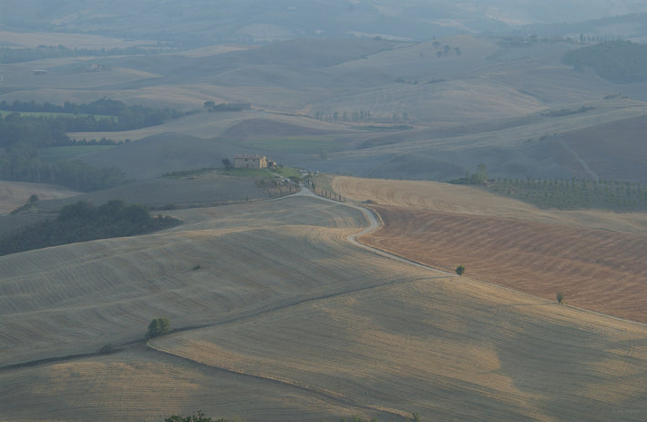 Landscape 1, Tuscany