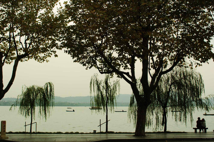 Lake, Couple on Bench, Shanghai