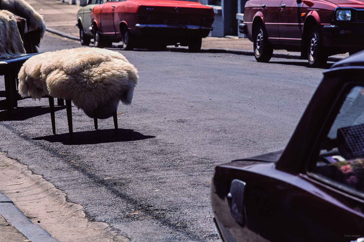 "Lamb" on Street, Ireland