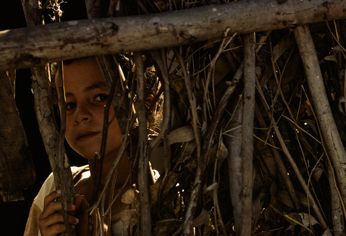 Young Girl Seen Through Branches of Wood, Marrakech