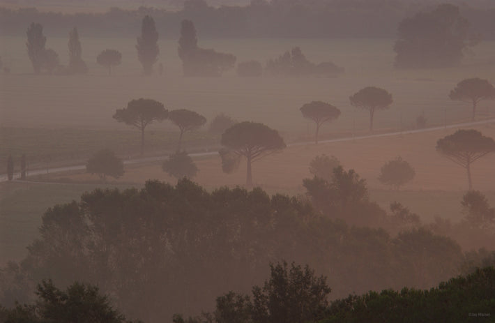 Landscape 3, Tuscany