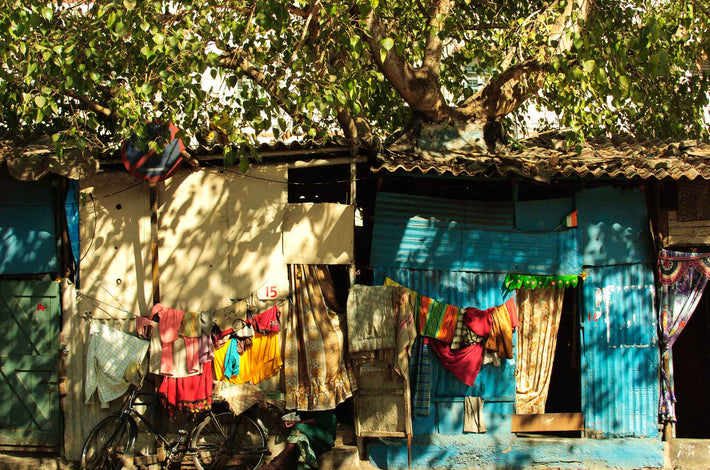 House with Tree Growing Out of It, Mumbai