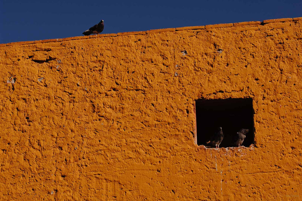 San Miguel de Allende No 59 – Jay Maisel