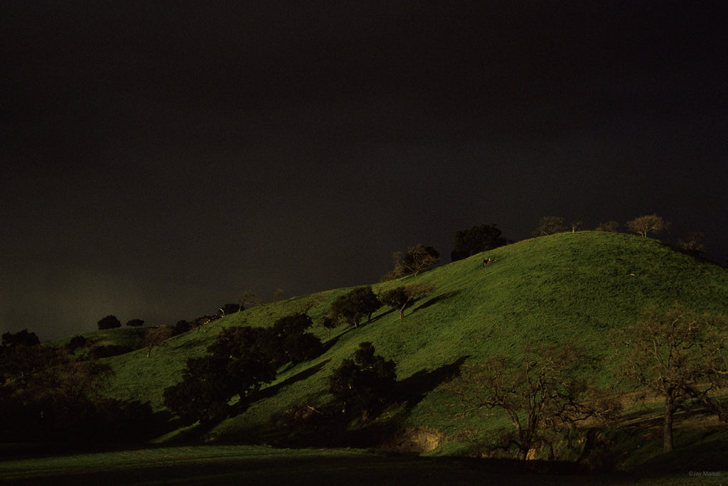 X-USA Misc No 70 – Jay Maisel