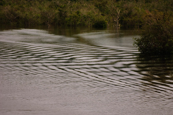 River Pattern 2, Amazon, Brazil