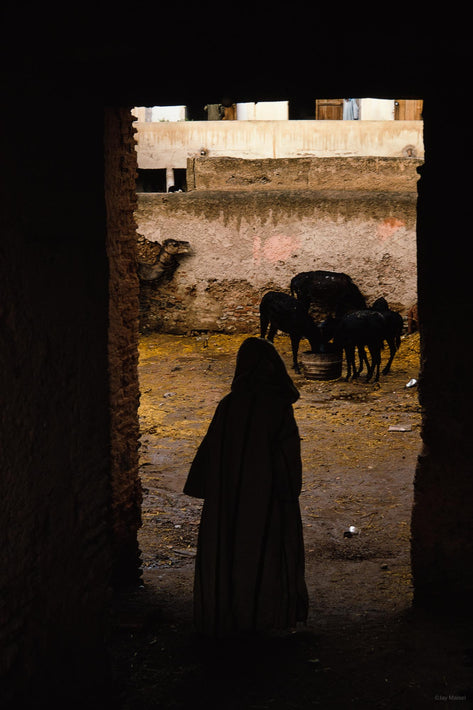 Silhouetted Man in Doorway, Camels, Marrakech