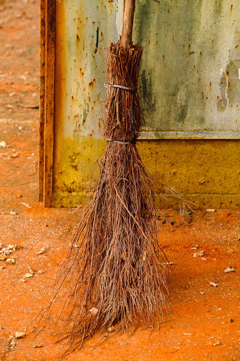 Broom, Unknown Locale, Italy