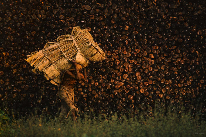 Man Carrying Bundle, Marked Logs in Background, Kenya