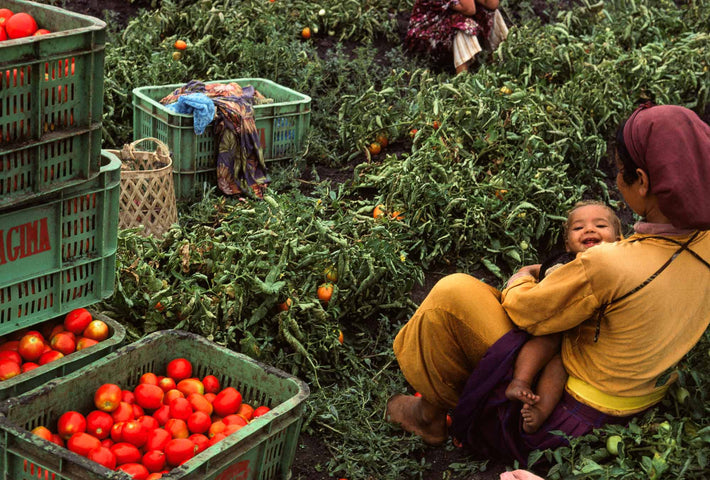 Woman with Baby, Tomatoes in Boxes, Marrakech