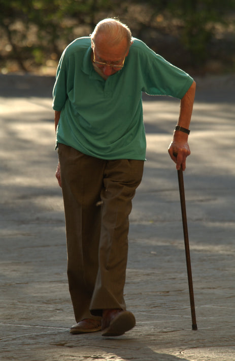 Man, Green Shirt, Cane, Tuscany