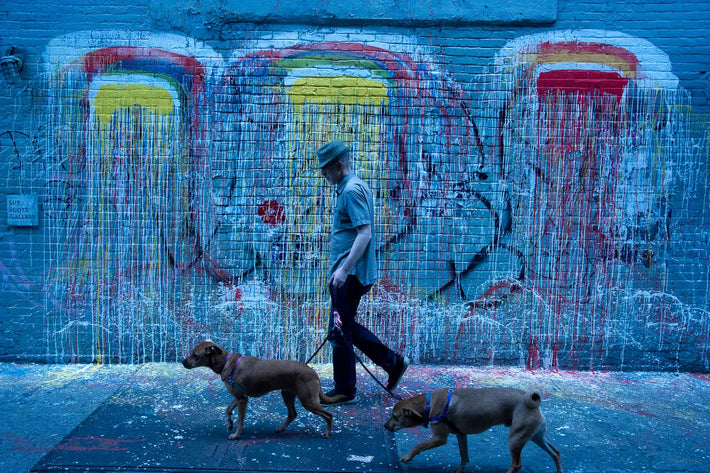 Man with Two Dogs, NYC