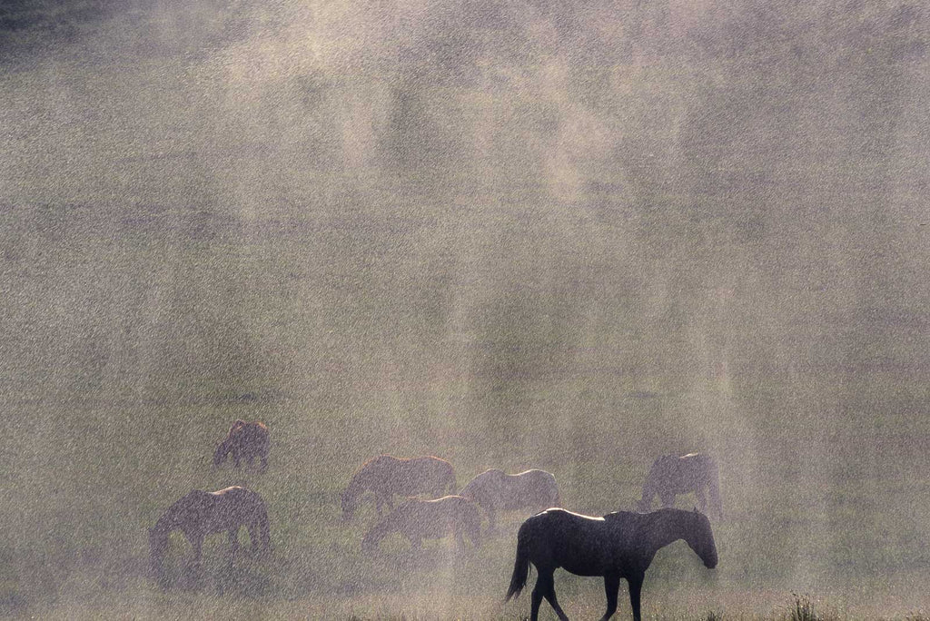 Water No 83 – Jay Maisel