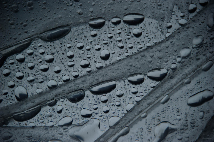 Water Drops, NYC