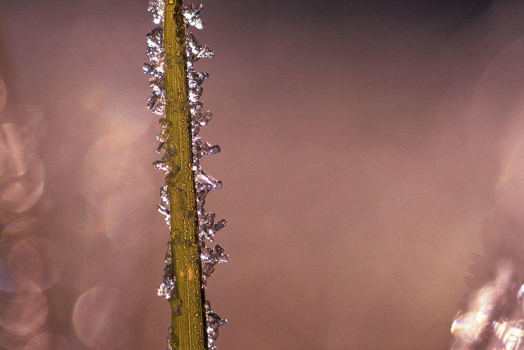 Water No 86 – Jay Maisel