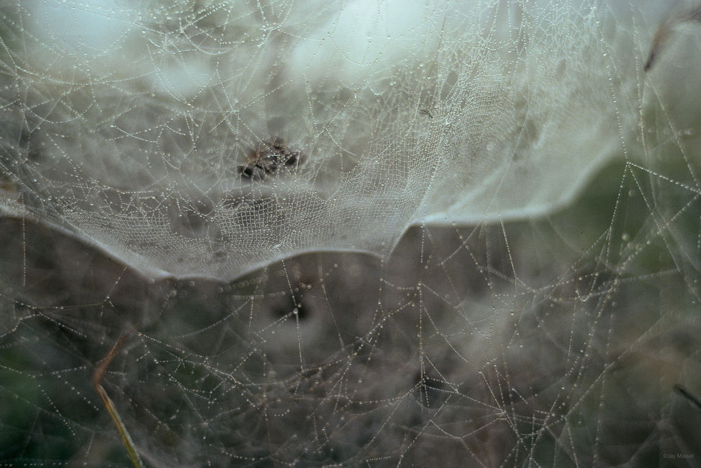 Water No 88 – Jay Maisel