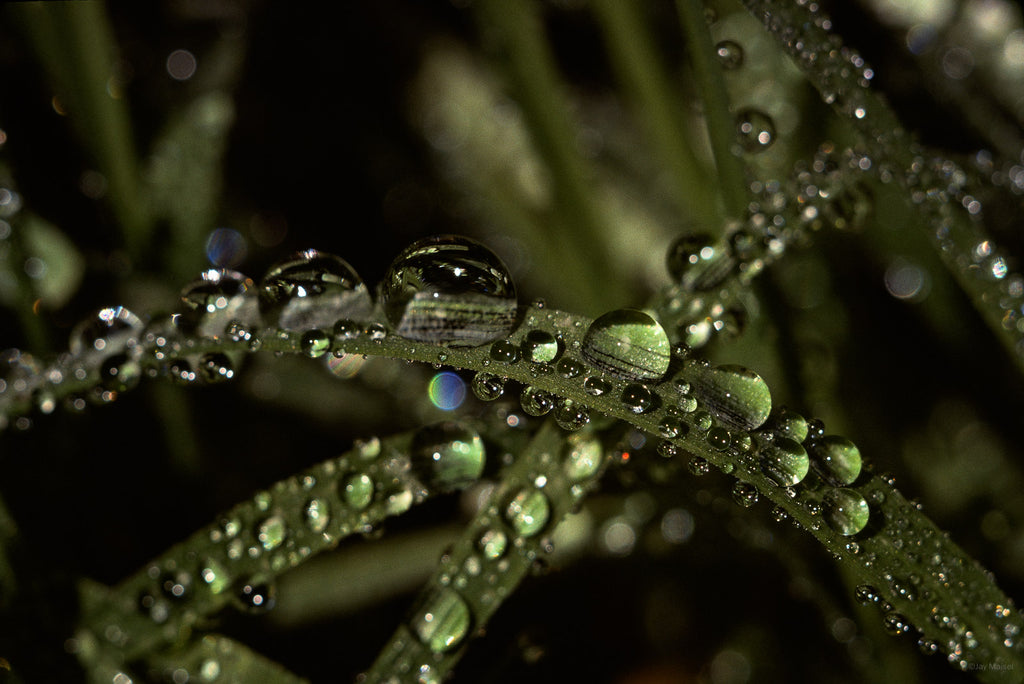 Water No 89 – Jay Maisel