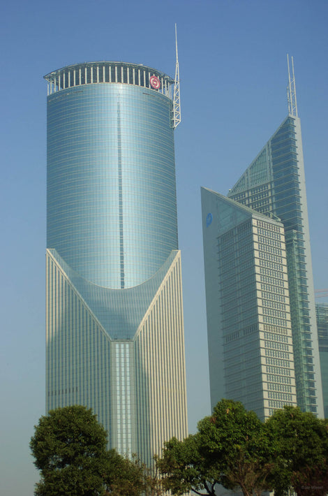 Modern Buildings and Trees, Shanghai
