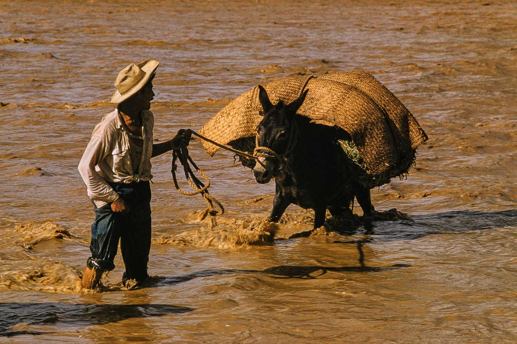 Water No 93 – Jay Maisel