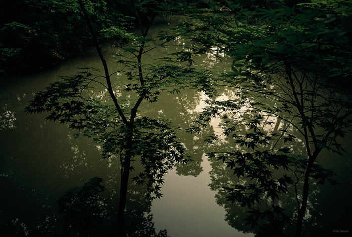 Hidden Treasure, Japan