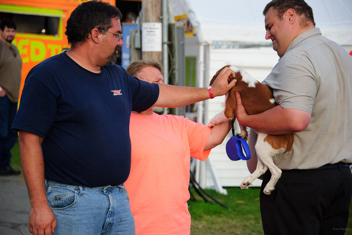 Petting Dog, Maine