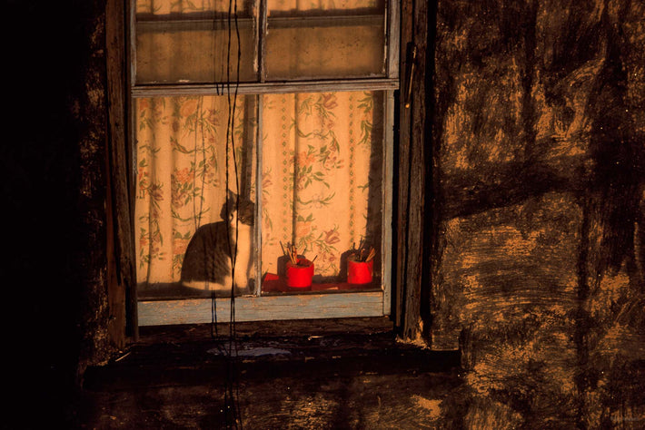 Cat in Window, NYC