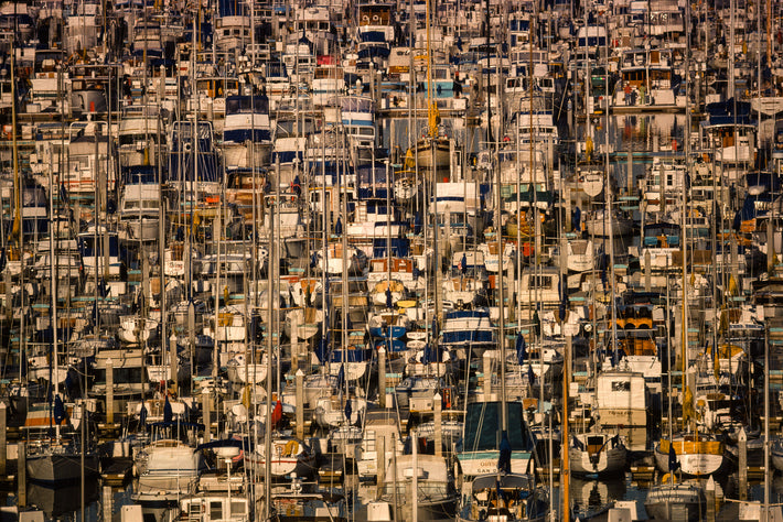 Sailboats, San Diego
