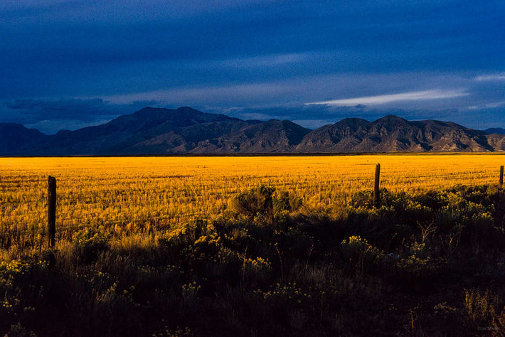 Blue Sky and Yellow Field, Idaho