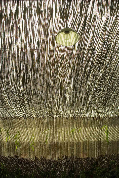 China Thatch Roof
